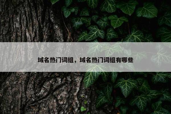 域名热门词组，域名热门词组有哪些