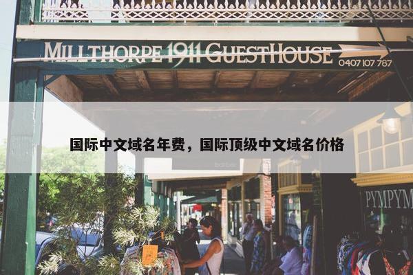 国际中文域名年费，国际顶级中文域名价格