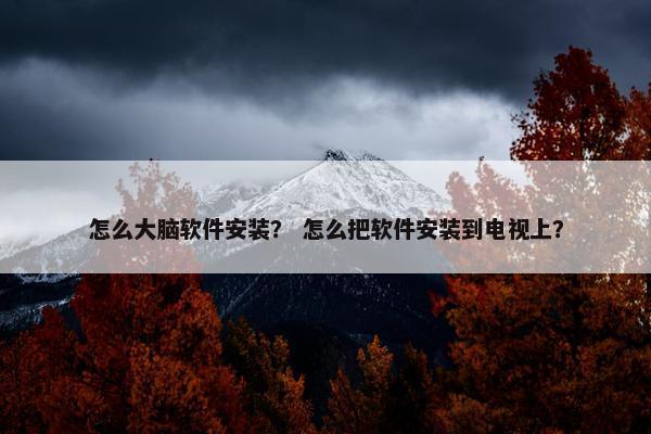 怎么大脑软件安装？ 怎么把软件安装到电视上？
