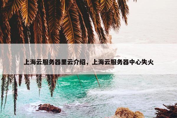 上海云服务器里云介绍，上海云服务器中心失火