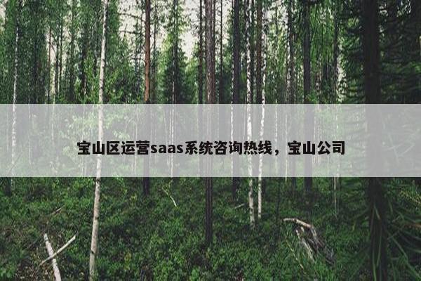 宝山区运营saas系统咨询热线，宝山公司