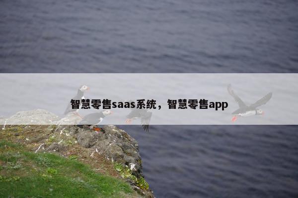 智慧零售saas系统，智慧零售app