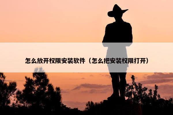 怎么放开权限安装软件（怎么把安装权限打开）