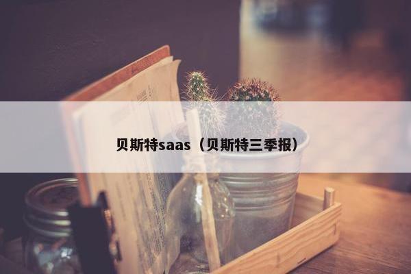 贝斯特saas（贝斯特三季报）