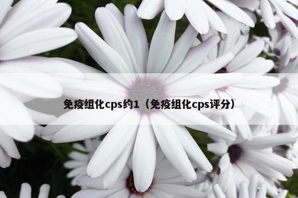 免疫组化cps约1（免疫组化cps评分）
