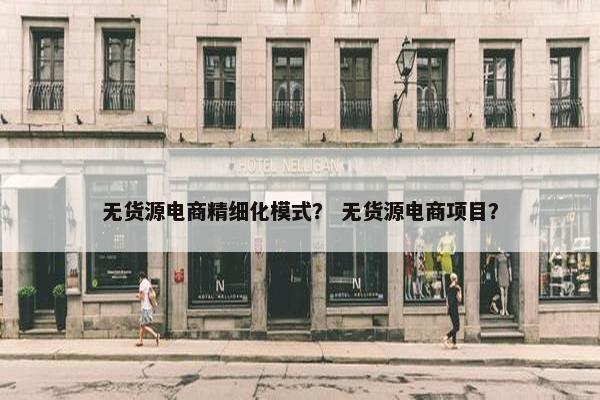 无货源电商精细化模式？ 无货源电商项目？