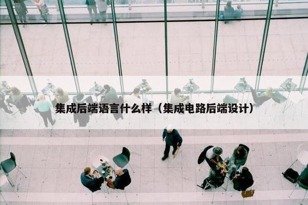 集成后端语言什么样（集成电路后端设计）