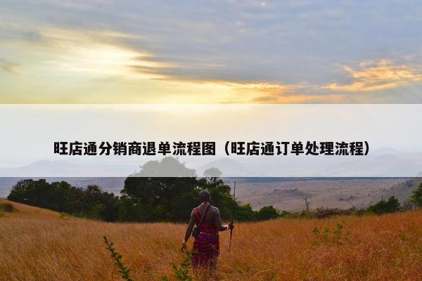 旺店通分销商退单流程图（旺店通订单处理流程）