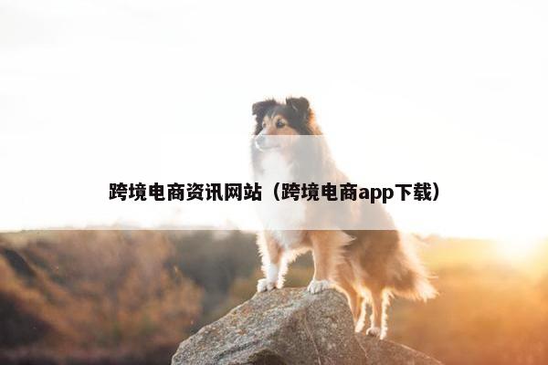 跨境电商资讯网站（跨境电商app下载）