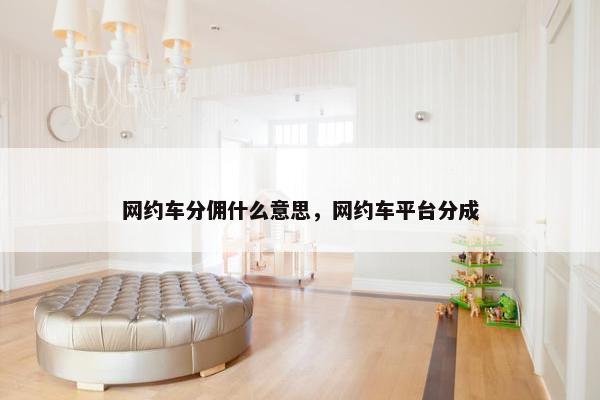 网约车分佣什么意思，网约车平台分成