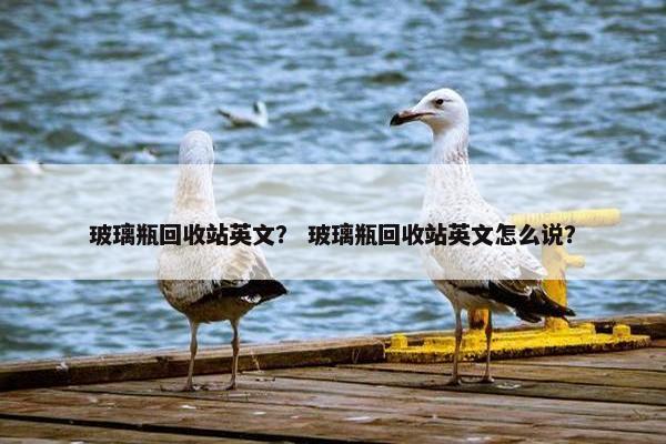 玻璃瓶回收站英文？ 玻璃瓶回收站英文怎么说？