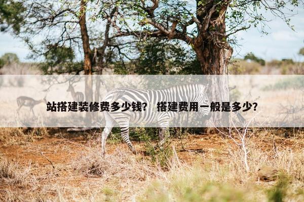 站搭建装修费多少钱？ 搭建费用一般是多少？