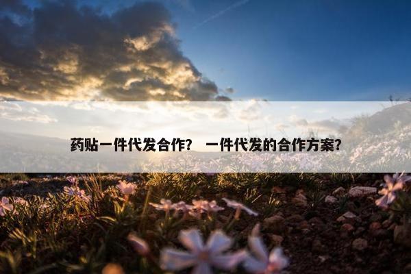 药贴一件代发合作？ 一件代发的合作方案？