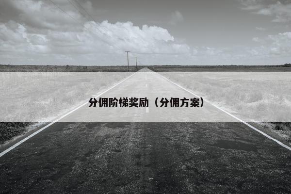 分佣阶梯奖励（分佣方案）
