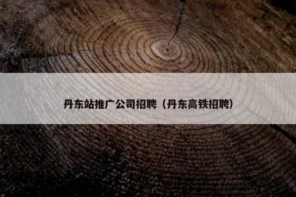 丹东站推广公司招聘（丹东高铁招聘）