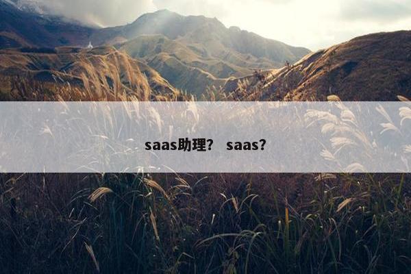 saas助理？ saas？