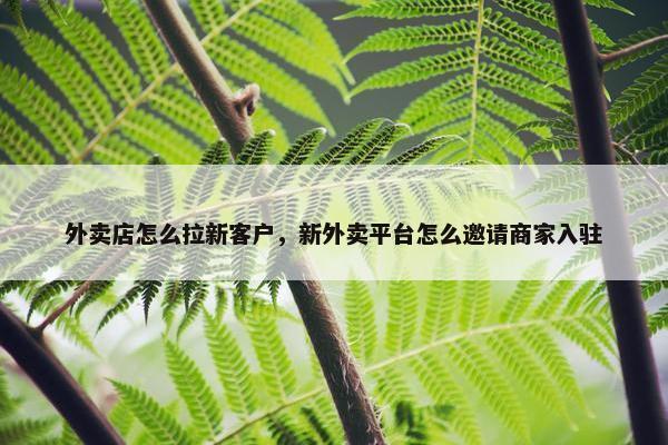 外卖店怎么拉新客户，新外卖平台怎么邀请商家入驻