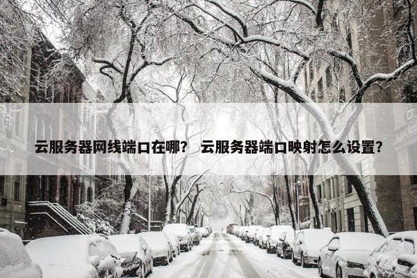 云服务器网线端口在哪？ 云服务器端口映射怎么设置？
