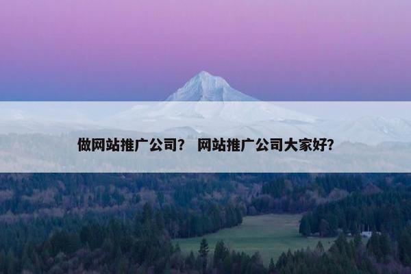做网站推广公司？ 网站推广公司大家好？