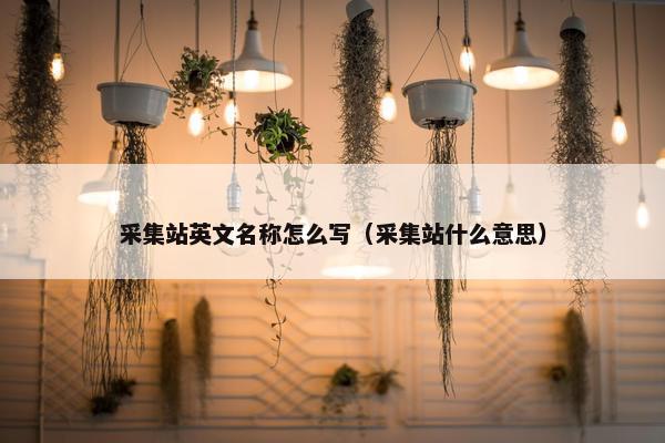 采集站英文名称怎么写（采集站什么意思）
