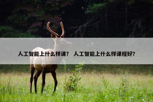 人工智能上什么样课？ 人工智能上什么样课程好？