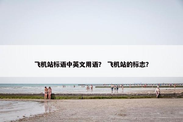 飞机站标语中英文用语？ 飞机站的标志？