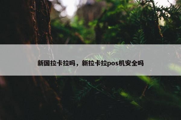 新国拉卡拉吗，新拉卡拉pos机安全吗