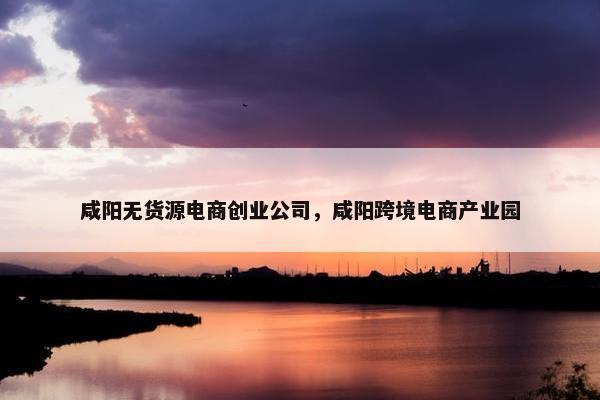 咸阳无货源电商创业公司，咸阳跨境电商产业园