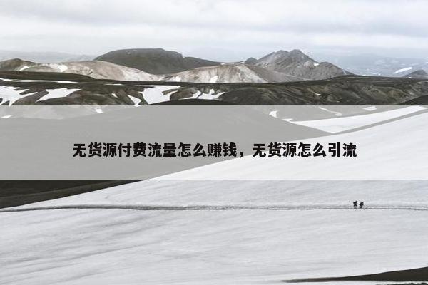 无货源付费流量怎么赚钱，无货源怎么引流