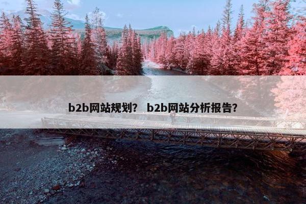 b2b网站规划？ b2b网站分析报告？