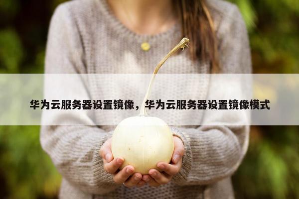 华为云服务器设置镜像，华为云服务器设置镜像模式