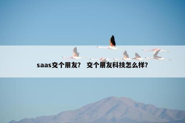 saas交个朋友？ 交个朋友科技怎么样？