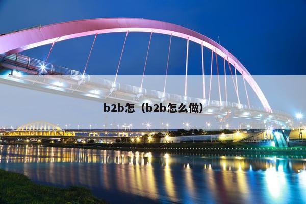b2b怎（b2b怎么做）