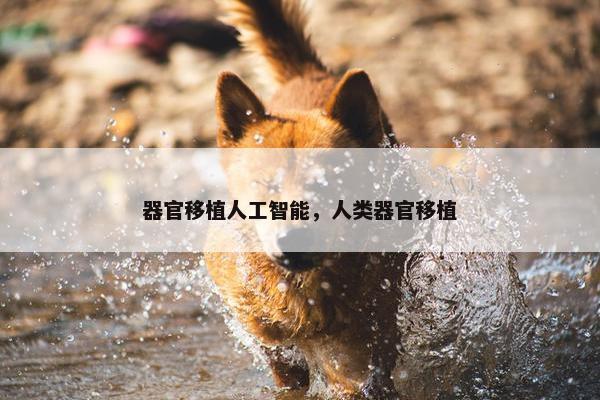 器官移植人工智能，人类器官移植
