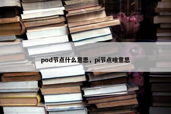 pod节点什么意思，pi节点啥意思