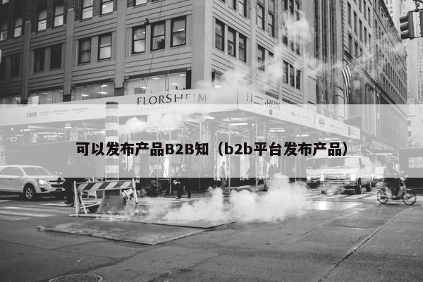 可以发布产品B2B知（b2b平台发布产品）