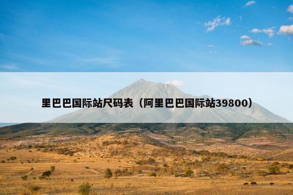 里巴巴国际站尺码表（阿里巴巴国际站39800）