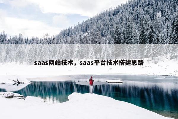 saas网站技术，saas平台技术搭建思路