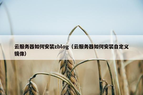 云服务器如何安装zblog（云服务器如何安装自定义镜像）