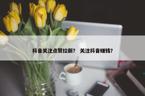 抖音关注点赞拉新？ 关注抖音赚钱？