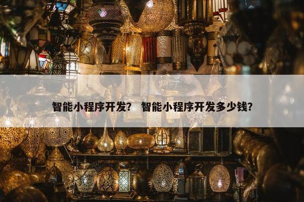 智能小程序开发？ 智能小程序开发多少钱？