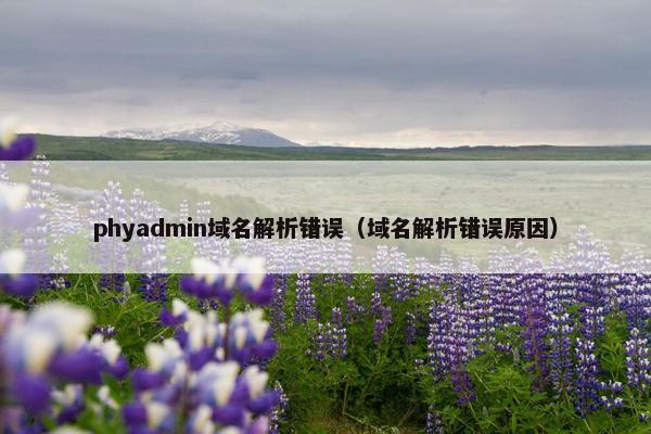 phyadmin域名解析错误（域名解析错误原因）