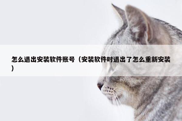 怎么退出安装软件账号（安装软件时退出了怎么重新安装）