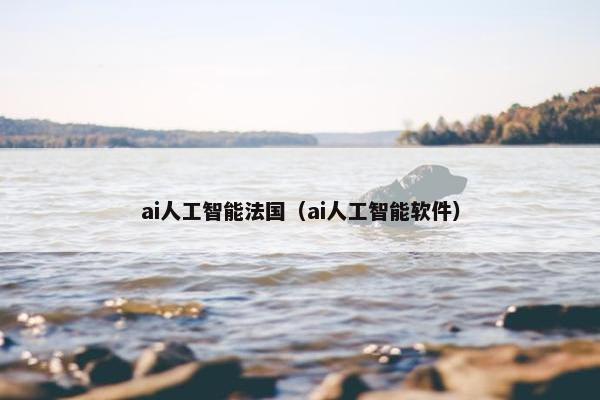 ai人工智能法国（ai人工智能软件）