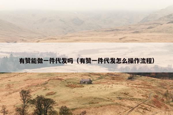 有赞能做一件代发吗（有赞一件代发怎么操作流程）