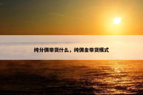 纯分佣带货什么，纯佣金带货模式