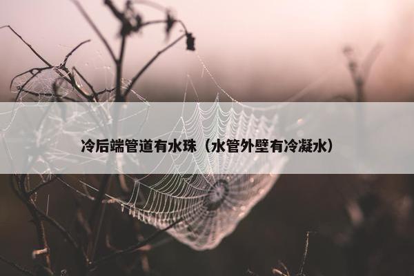 冷后端管道有水珠（水管外壁有冷凝水）