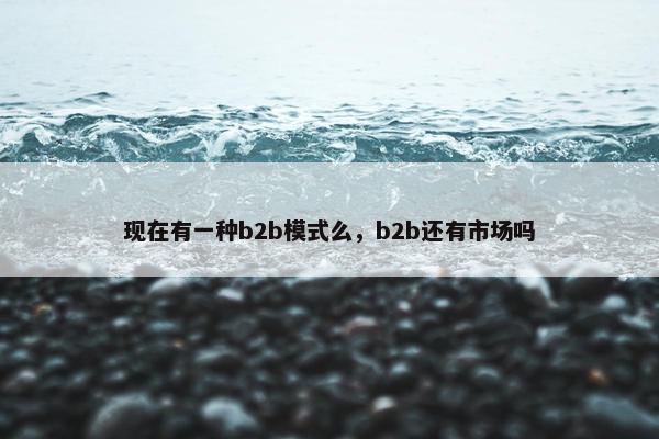 现在有一种b2b模式么，b2b还有市场吗