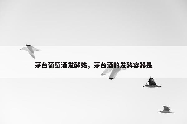茅台葡萄酒发酵站，茅台酒的发酵容器是