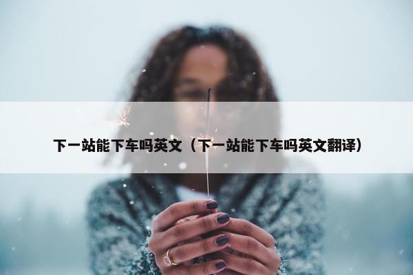 下一站能下车吗英文（下一站能下车吗英文翻译）
